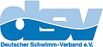 DSV Logo